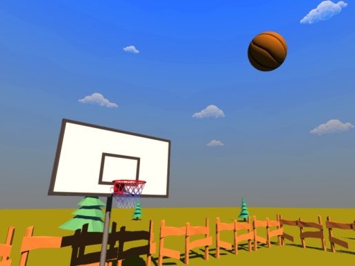 Basketball School